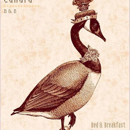 Madame Canard バヴェーノ エクステリア 写真